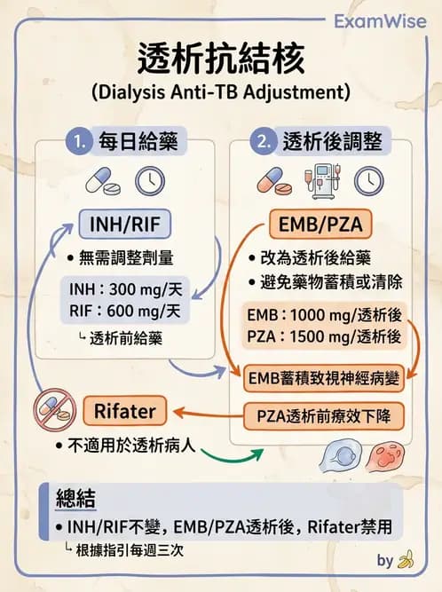 內專 - 肺結核 - AI 圖文解析預覽