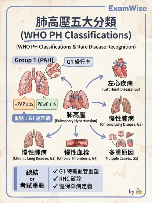內專 - 肺血管疾病 - AI 圖文解析預覽
