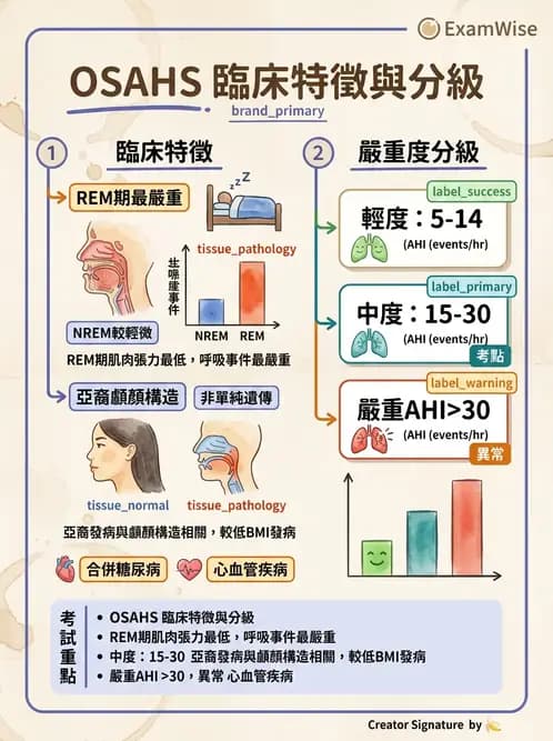 內專 - 呼吸衰竭、非侵襲性呼吸器與睡眠呼吸中止 - AI 圖文解析預覽