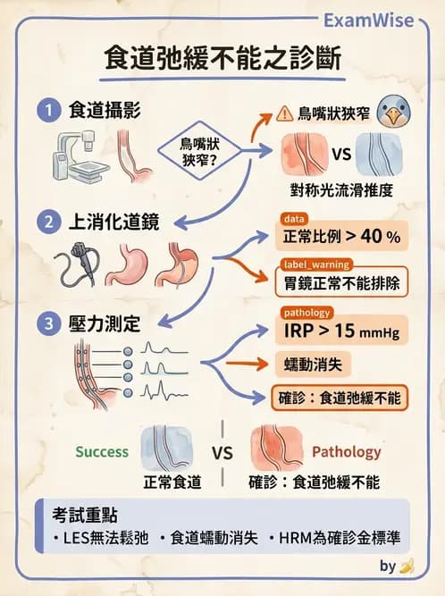內專 - 食道運動障礙與吞嚥困難 - AI 圖文解析預覽