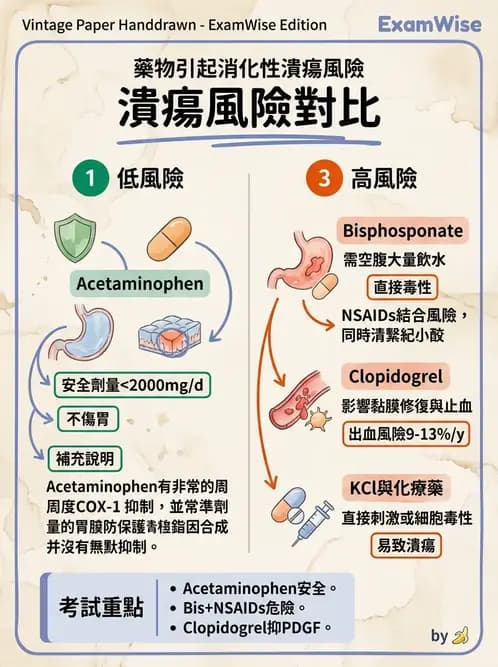 內專 - 胃炎、術後併發症與其他上消化道疾病 - AI 圖文解析預覽