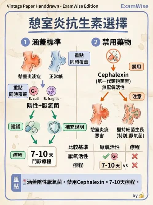 內專 - 憩室病、缺血性腸病與消化道出血 - AI 圖文解析預覽