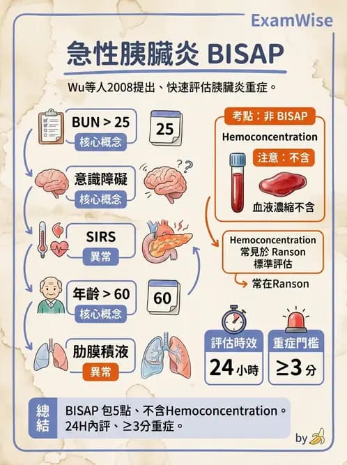 內專 - 胰臟疾病 - AI 圖文解析預覽