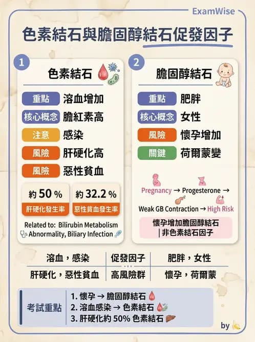 內專 - 膽道疾病與膽酸生理 - AI 圖文解析預覽