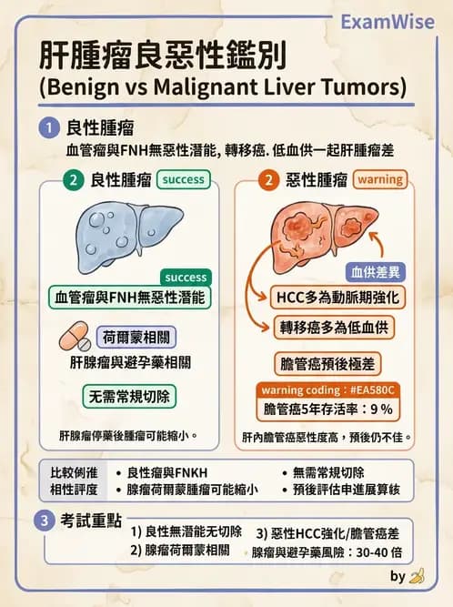 內專 - 肝硬化、肝癌及併發症 - AI 圖文解析預覽