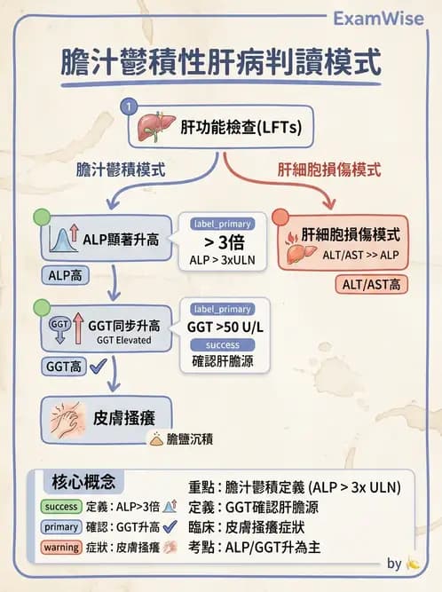 內專 - 膽汁滯留性肝病與黃疸鑑別 - AI 圖文解析預覽