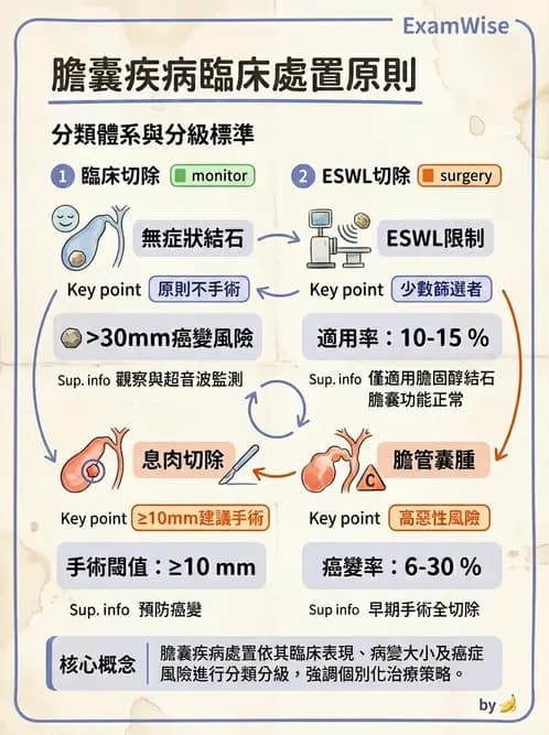 內專 - 膽道疾病與膽酸生理 - AI 圖文解析預覽
