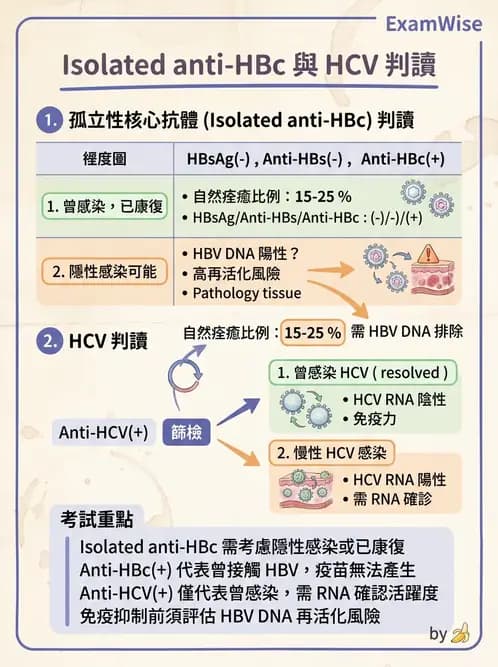 內專 - B型肝炎 - AI 圖文解析預覽