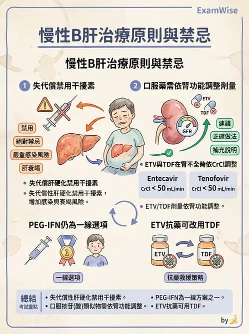 內專 - B型肝炎 - AI 圖文解析預覽