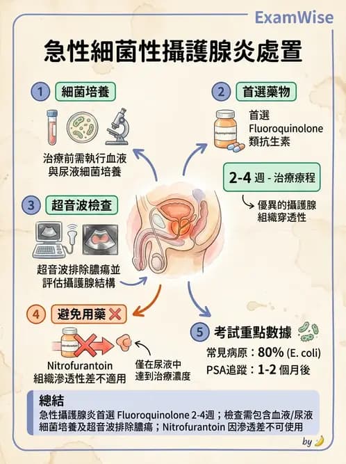 內專 - 革蘭氏陰性菌感染 - AI 圖文解析預覽