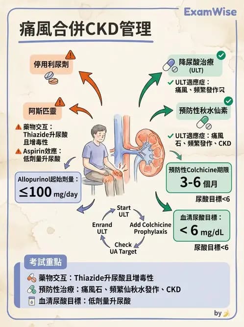 內專 - 痛風、結晶性與退化性關節炎 - AI 圖文解析預覽