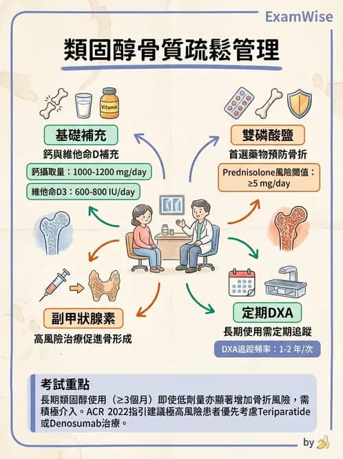內專 - 副甲狀腺與鈣代謝異常 - AI 圖文解析預覽