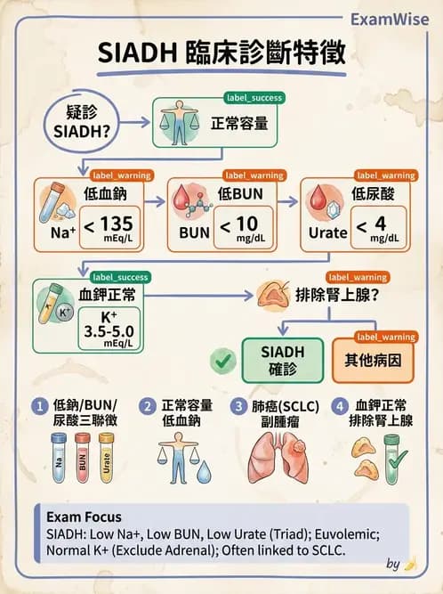 內專 - 電解質異常 - AI 圖文解析預覽