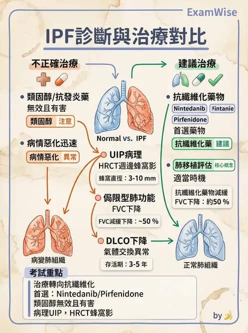 內專 - 間質性肺病與肺纖維化 - AI 圖文解析預覽