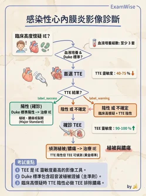 內專 - 心內膜炎與心包膜疾病 - AI 圖文解析預覽