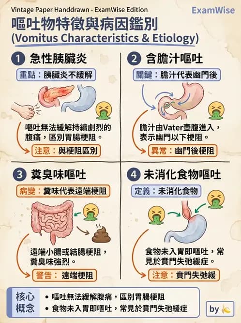 內專 - 胃炎、術後併發症與其他上消化道疾病 - AI 圖文解析預覽