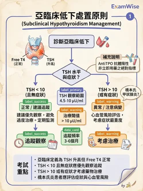 內專 - 甲狀腺疾病 - AI 圖文解析預覽