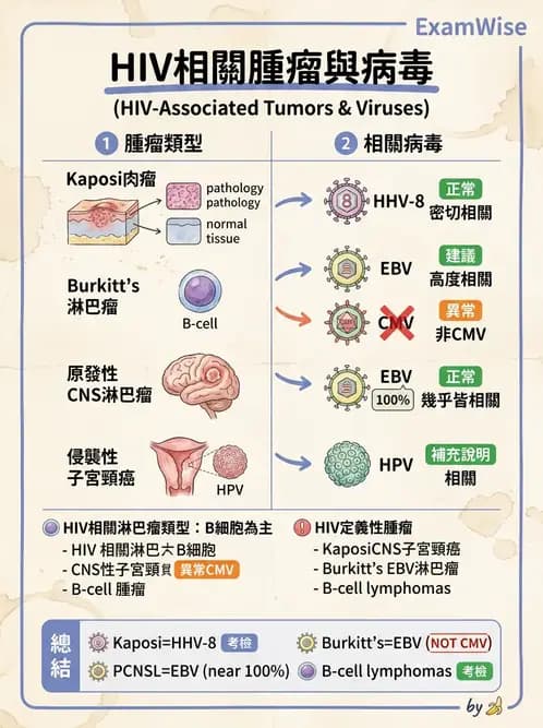 內專 - 病毒感染:COVID-19、流感與新興傳染病 - AI 圖文解析預覽