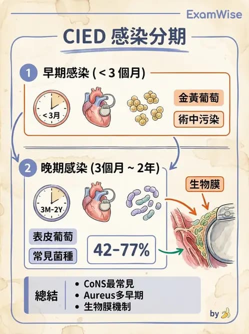 內專 - 心內膜炎與心包膜疾病 - AI 圖文解析預覽