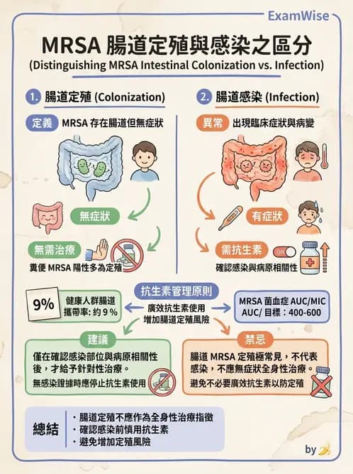 內專 - 革蘭氏陽性菌感染 - AI 圖文解析預覽