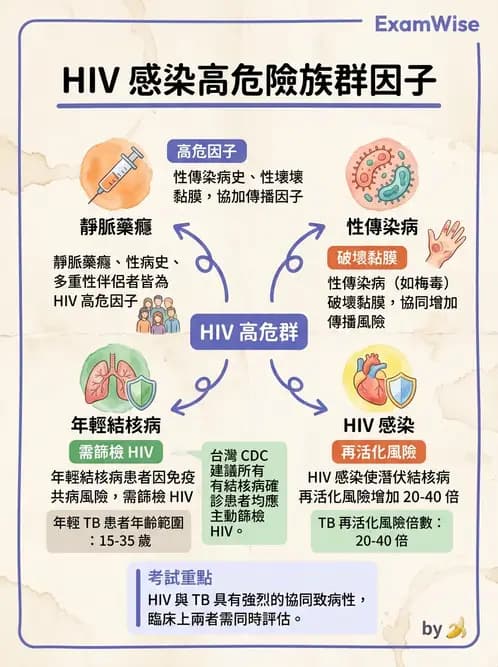 內專 - 蟲媒感染、性傳播感染與寄生蟲 - AI 圖文解析預覽