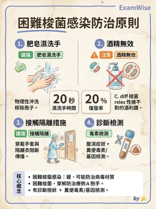 內專 - 厭氧菌、梭狀桿菌與特殊細菌 - AI 圖文解析預覽