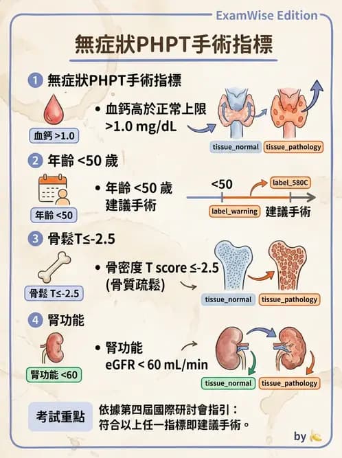 內專 - 副甲狀腺與鈣代謝異常 - AI 圖文解析預覽
