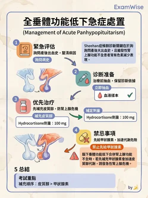內專 - 腎上腺皮質疾病 - AI 圖文解析預覽