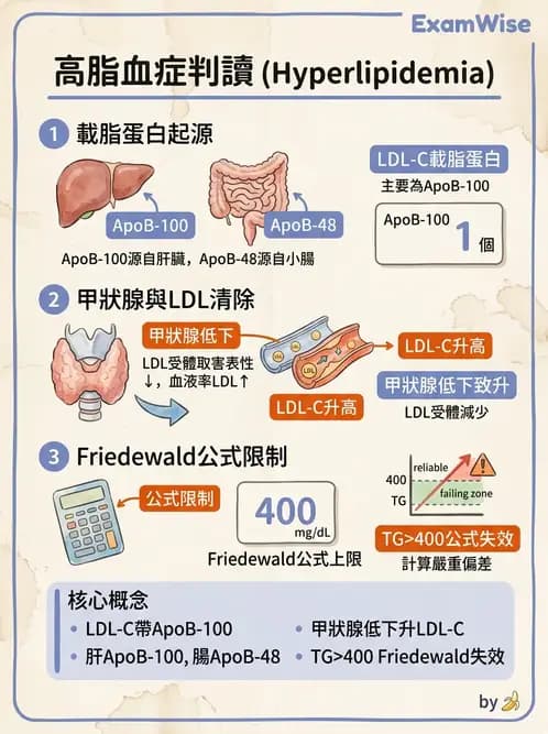 內專 - 糖尿病心血管保護與血脂異常 - AI 圖文解析預覽