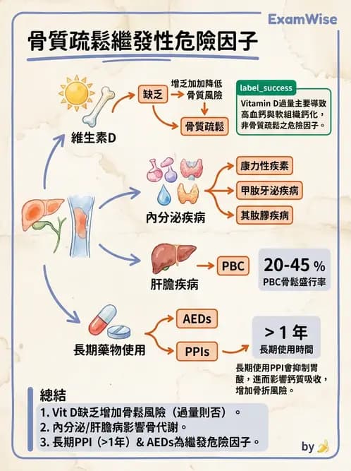 內專 - 副甲狀腺與鈣代謝異常 - AI 圖文解析預覽