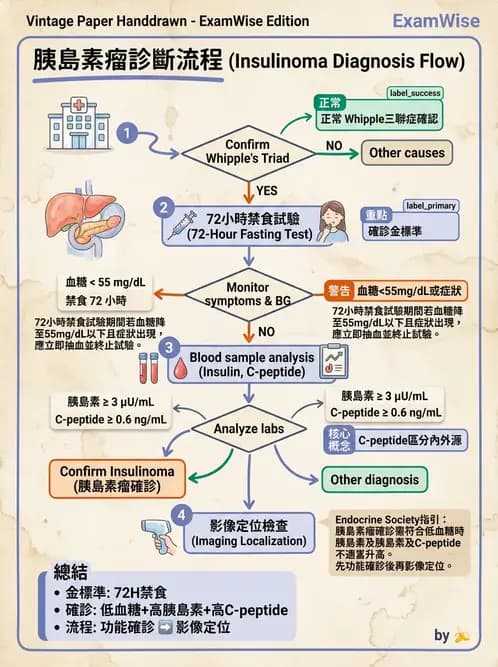內專 - 低血糖與內源性高胰島素血症 - AI 圖文解析預覽