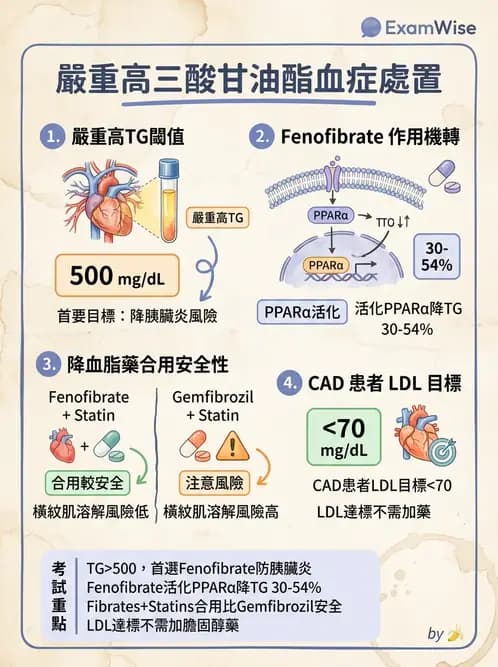 內專 - 糖尿病心血管保護與血脂異常 - AI 圖文解析預覽