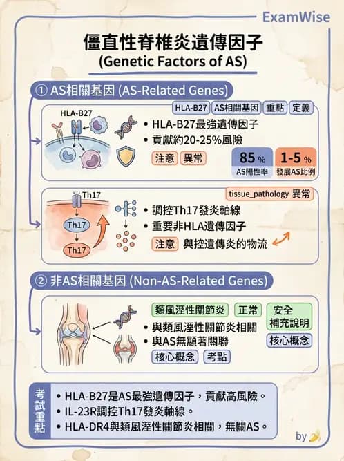 內專 - 脊椎關節病變 - AI 圖文解析預覽