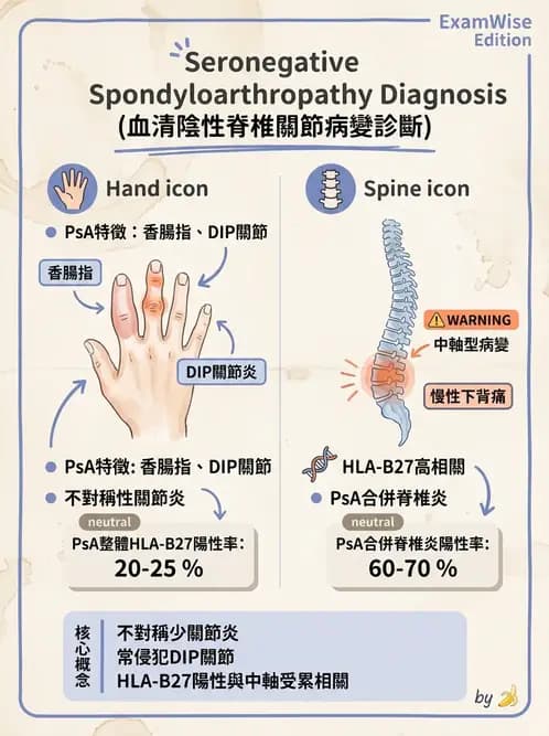內專 - 脊椎關節病變 - AI 圖文解析預覽
