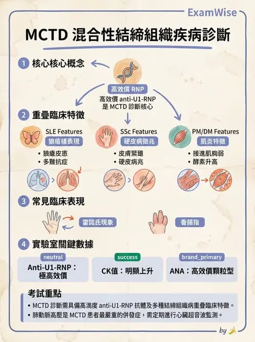 內專 - 系統性硬化症 - AI 圖文解析預覽