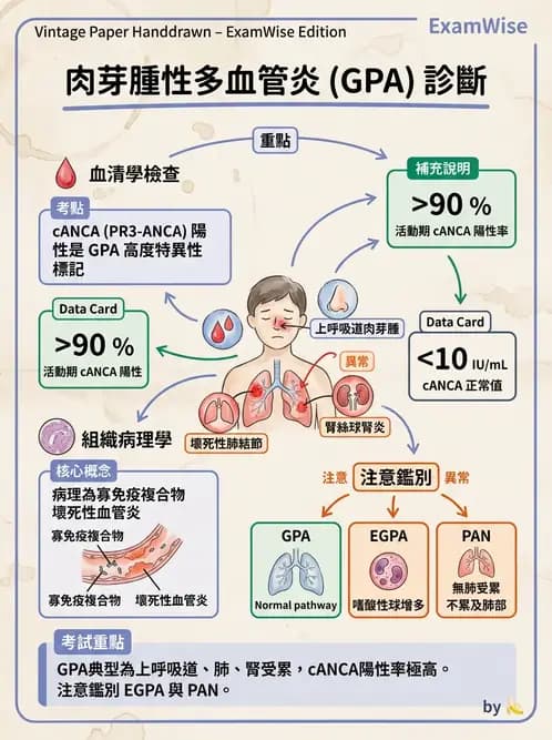 內專 - 血管炎 - AI 圖文解析預覽