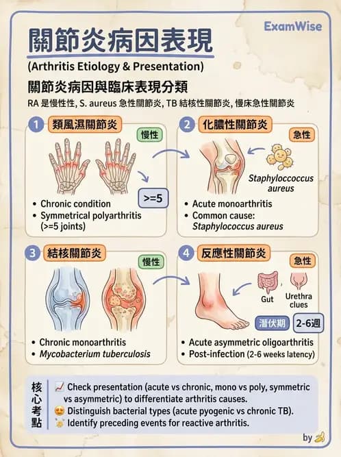 RA - 類風濕性關節炎 - AI 圖文解析預覽