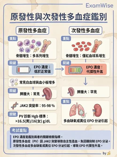 內專 - 紅血球增生症與PNH - AI 圖文解析預覽