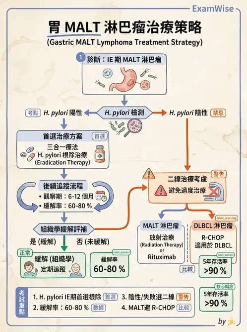 內專 - 淋巴瘤與多發性骨髓瘤 - AI 圖文解析預覽