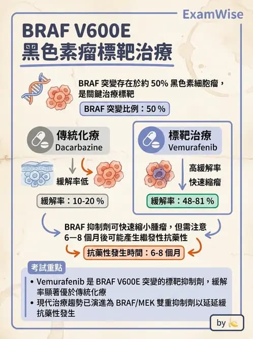 內專 - 免疫與標靶治療 - AI 圖文解析預覽