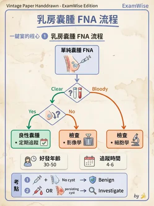 內專 - 非消化系統腫瘤 - AI 圖文解析預覽
