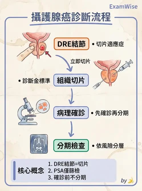 內專 - 非消化系統腫瘤 - AI 圖文解析預覽