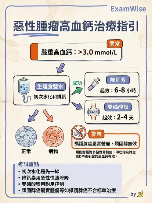 內專 - 非消化系統腫瘤 - AI 圖文解析預覽