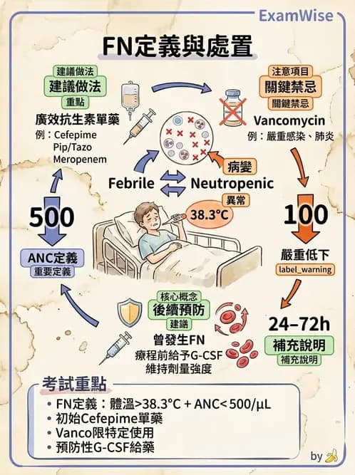 內專 - 腫瘤總論與篩檢 - AI 圖文解析預覽