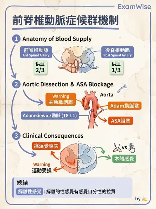 內專 - 腦血管疾病 - AI 圖文解析預覽