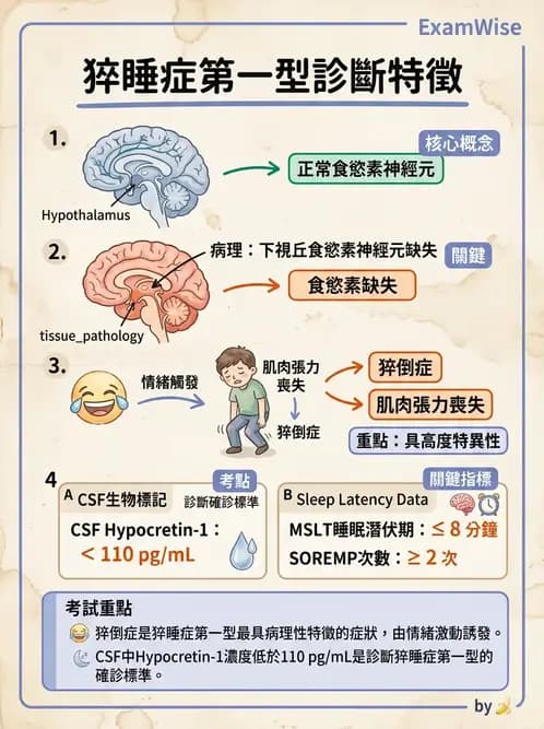 內專 - 腦炎、腦病變與癲癇 - AI 圖文解析預覽