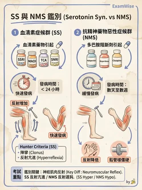 內專 - 腦炎、腦病變與癲癇 - AI 圖文解析預覽
