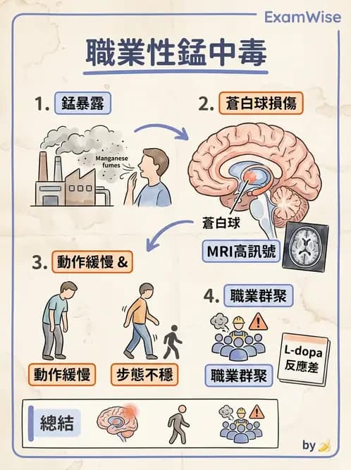 內專 - 帕金森與運動障礙 - AI 圖文解析預覽