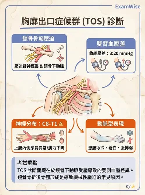 內專 - 神經肌肉接合與周邊神經疾病 - AI 圖文解析預覽