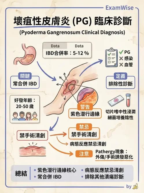 內專 - 免疫皮膚病與藥物反應 - AI 圖文解析預覽